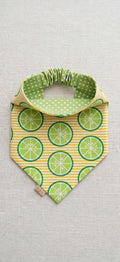 Squeeze the Day w/ a Zesty Lime bandana