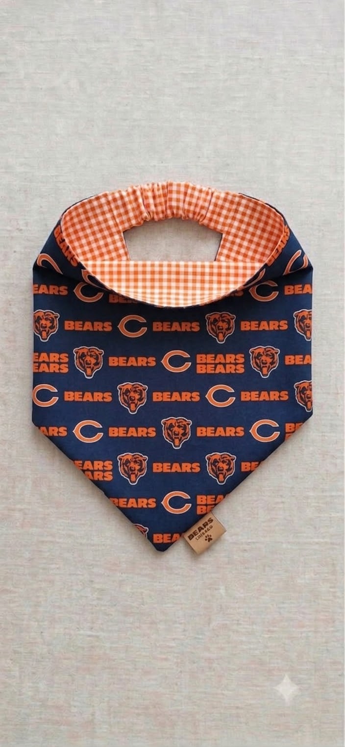 NFL Game Day